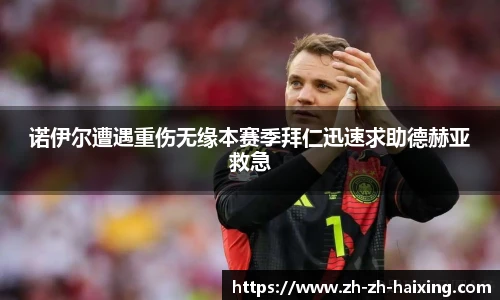 海星体育直播