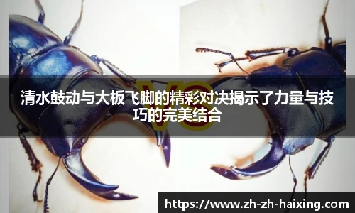 海星直播